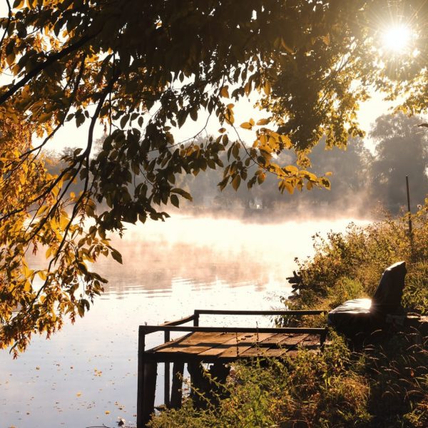 Serene lake with dock and chair, mist rolling over, sunshine and trees in Ontario - Mortgage Scout